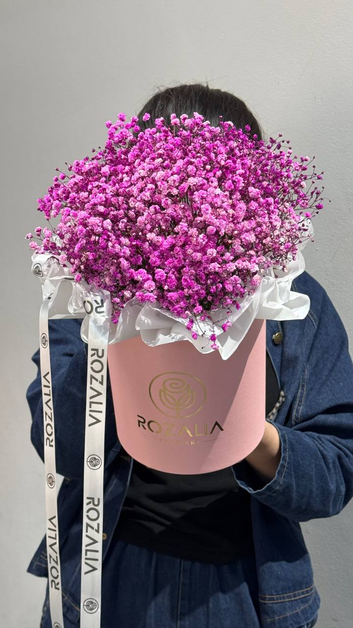 Гипсафила S